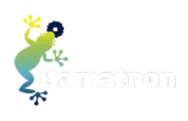 KA Gaming Dragon King มังกรกษัตริย์ BETFLIX168